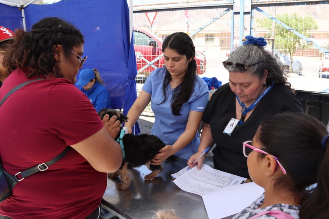 /vecinos-del-sector-borgono-participaron-de-una-nueva-version-del-programa