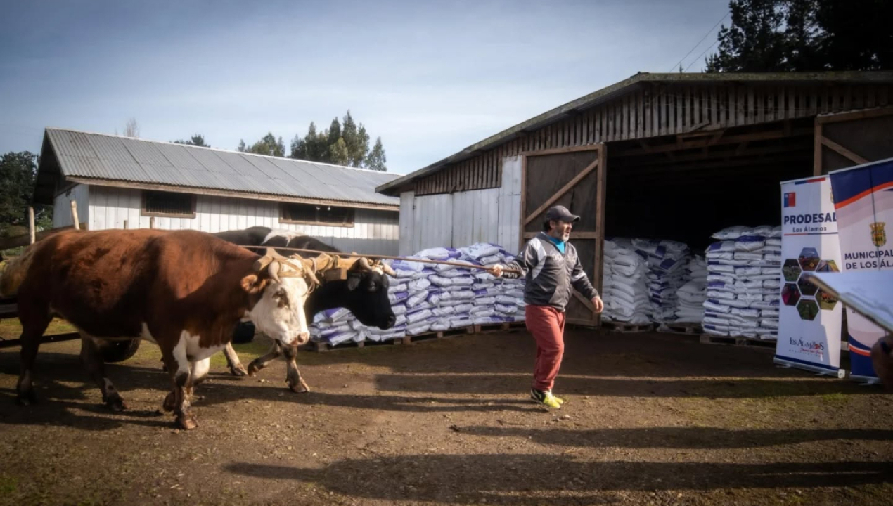 /248-agricultores-de-los-alamos-reciben-apoyo-para-la-proxima-temporada
