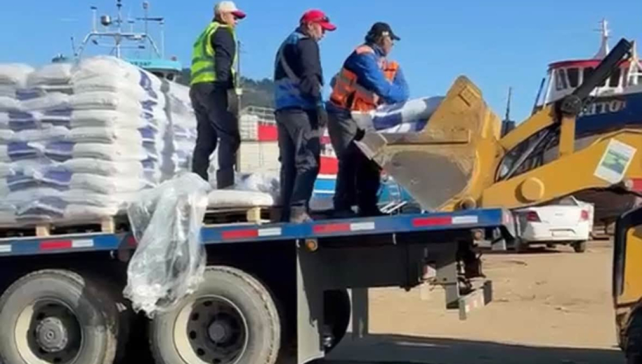 /arriban-a-isla-mocha-primeras-40-toneladas-de-alimento-para-ganado-tras