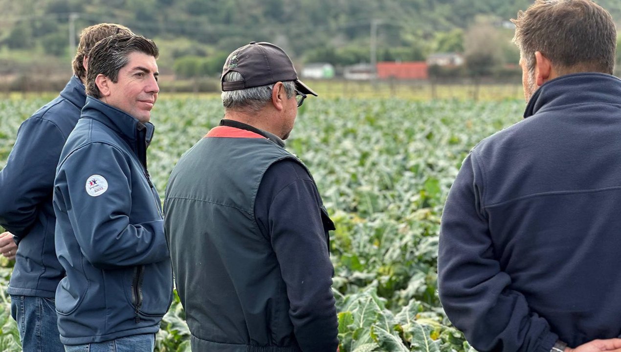 /en-san-pedro/autoridades-evaluan-danos-agricolas-tras-sistema-frontal