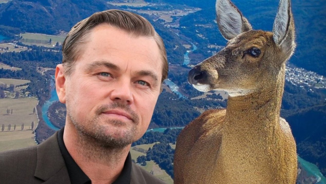 /tendencias/ciencia/flora-y-fauna/leonardo-dicaprio-al-cuidado-del-huemul-chileno-solo-quedan-1-500