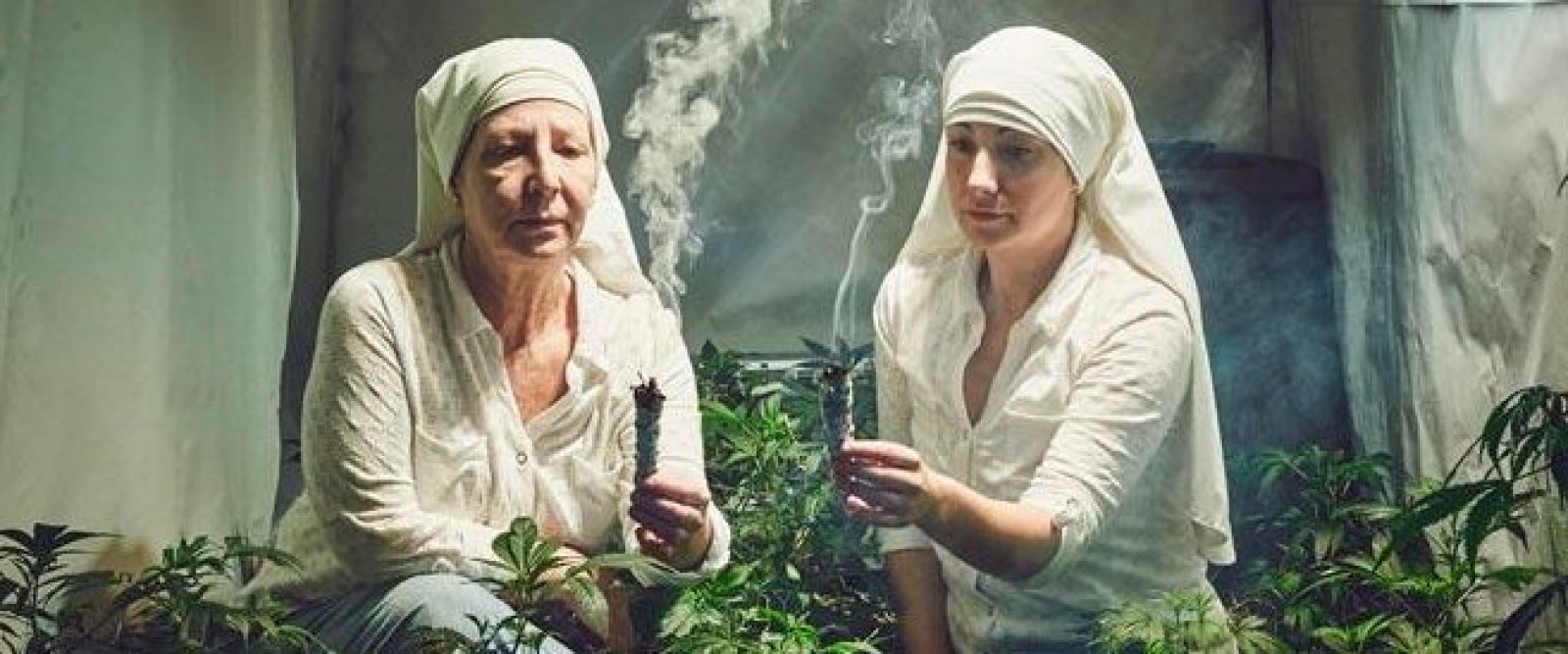 “Monjas del cannabis”: ¿Quiénes son y cuál es su propósito?