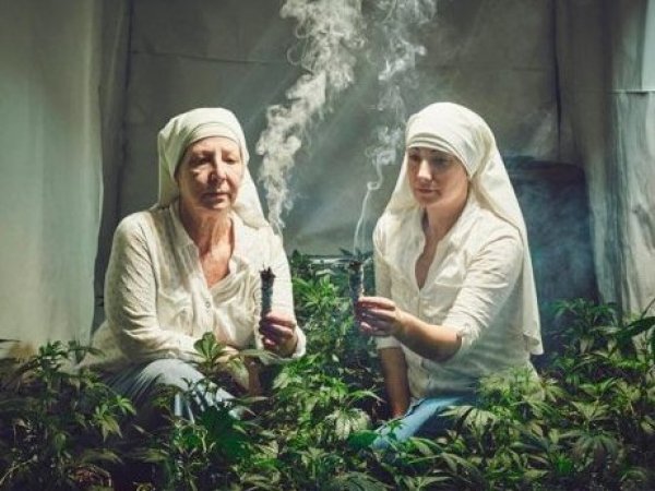 “Monjas del cannabis”: ¿Quiénes son y cuál es su propósito?