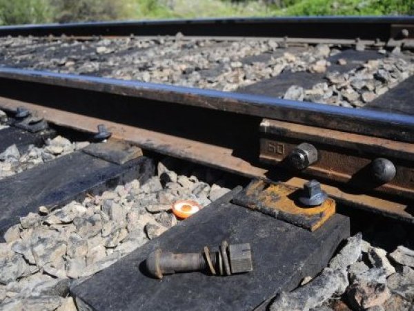 Hombre murió tras ser atropellado por tren de carga en Lanco