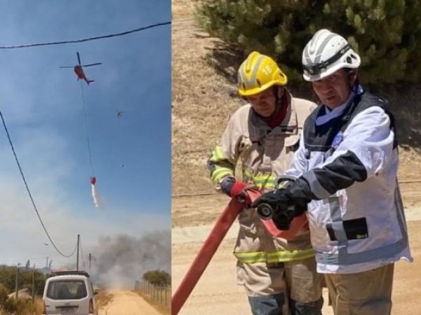 Fallece comandante de Bomberos de Litueche en pleno combate contra incendio forestal