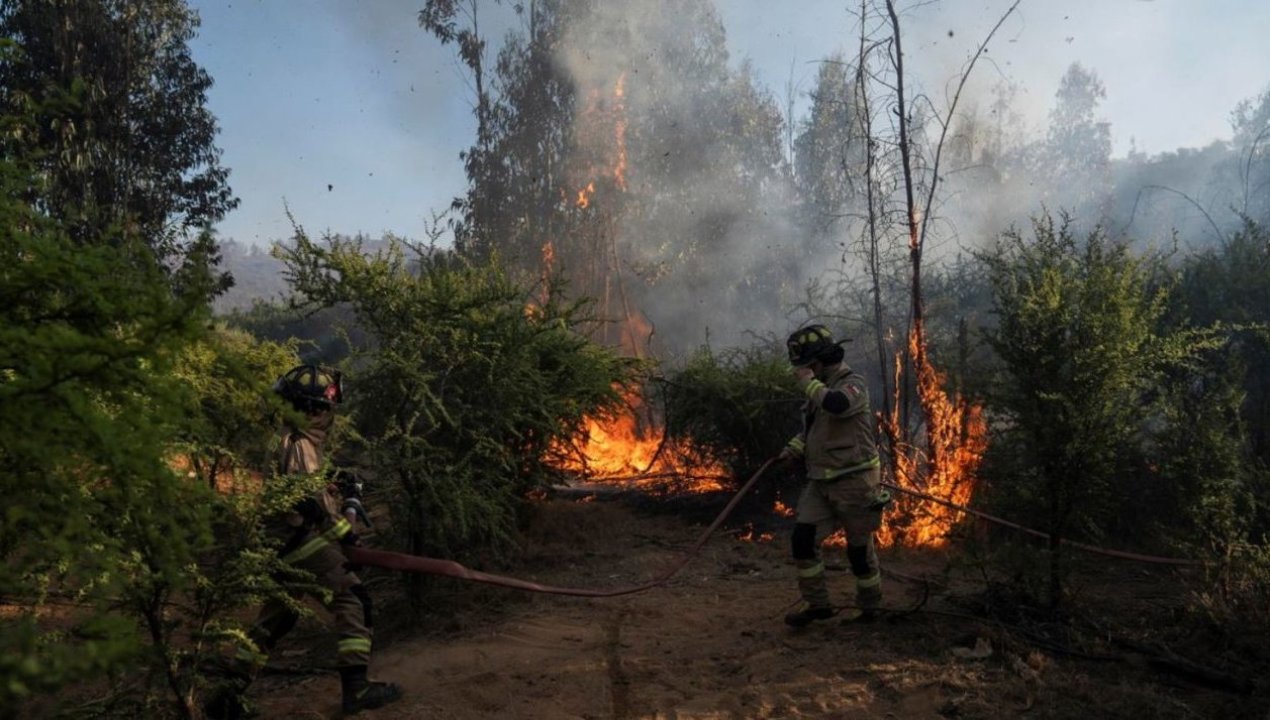 /actualidad/biobio-implementara-toque-de-queda-ante-gravedad-de-incendios-forestales