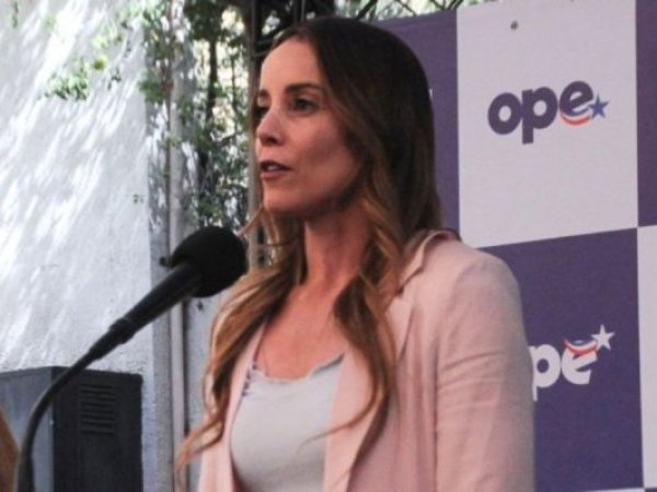 Sedini acusó al presidente Boric de 